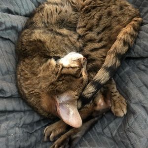 Meet your Posher, Jessica